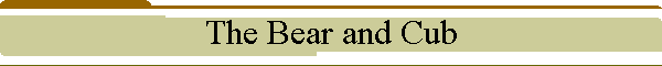 The Bear and Cub